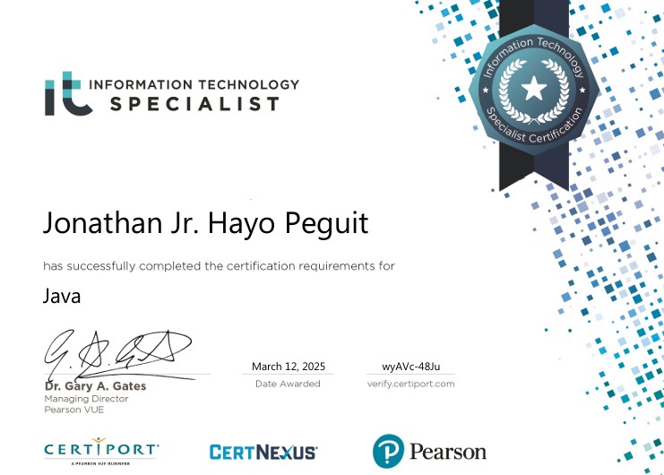 Information Technology Specialist